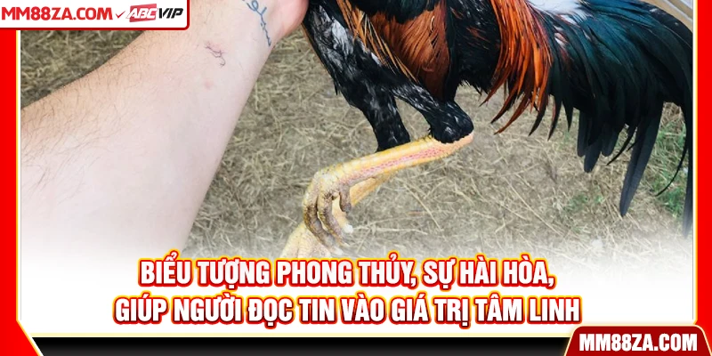 Biểu tượng phong thủy, sự hài hòa, giúp người đọc tin vào giá trị tâm linh