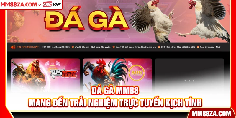 Đá gà MM88 mang đến trải nghiệm trực tuyến kịch tính