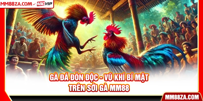 Gà Đá Đòn Độc