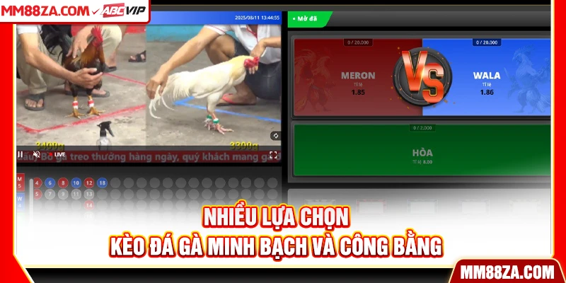 Nhiều lựa chọn kèo đá gà minh bạch và công bằng