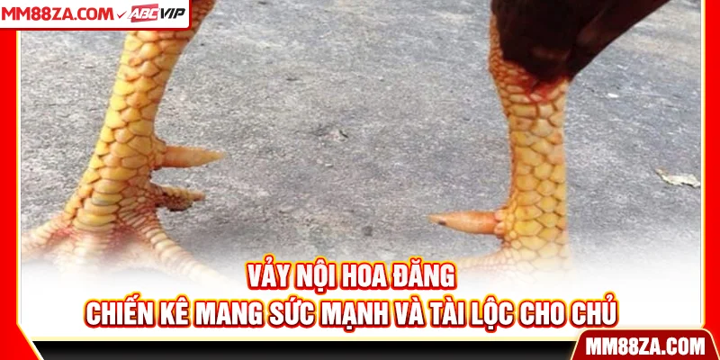 Vảy Nội Hoa Đăng