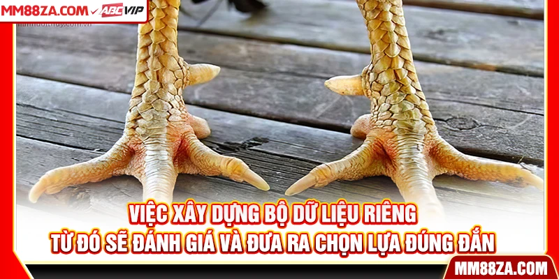 Việc xây dựng bộ dữ liệu riêng từ đó sẽ đánh giá và đưa ra chọn lựa đúng đắn