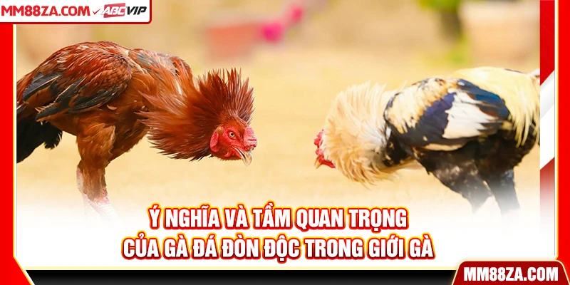 Ý nghĩa và tầm quan trọng của gà đá đòn độc trong giới gà